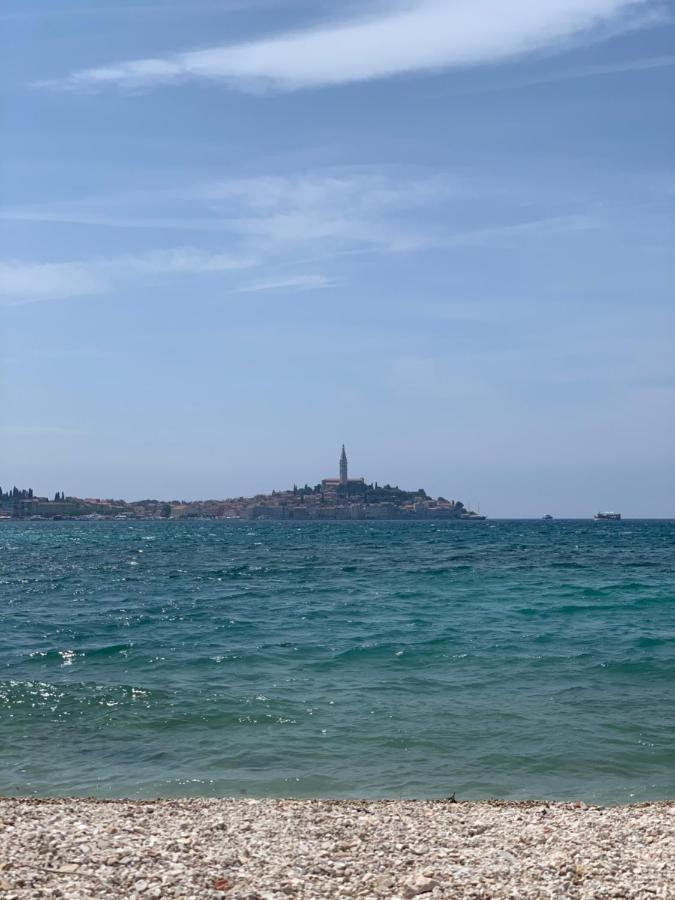 Vila Albatros Bed & Breakfast Rovinj Dış mekan fotoğraf